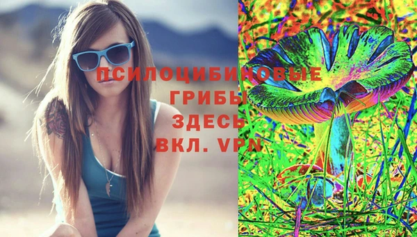 a pvp Богородицк