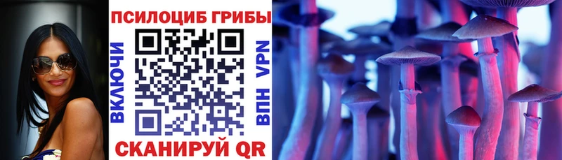 где можно купить   Екатеринбург  Псилоцибиновые грибы Psilocybine cubensis 
